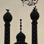 عکس نوشت | کبوترانه دلم بی قرار …