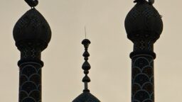 عکس نوشت | کبوترانه دلم بی قرار …