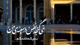 عکس نوشت | نمی گنجد نفس در …