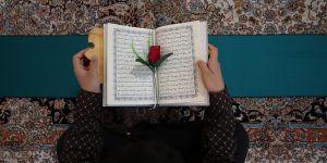 ۵۱۳ حافظ خواهر در رشته‌های مختلف در مرکز قرآن و حدیث تربیت می‌شوند