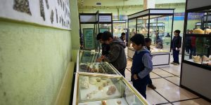 تصاویر حضور دانش آموزان در موزه آستان حضرت معصومه(س)