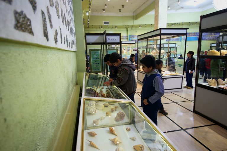 تصاویر حضور دانش آموزان در موزه آستان حضرت معصومه(س)