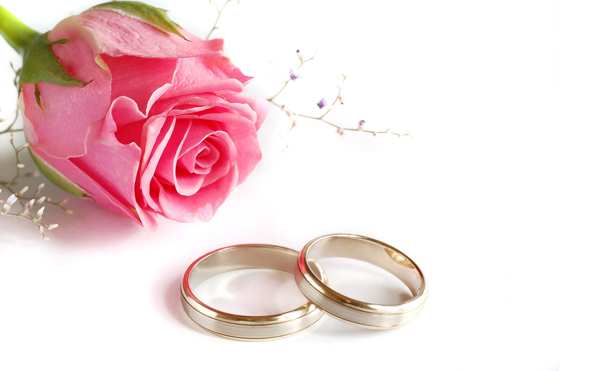 میزبانی حرم حضرت معصومه(س) از بیش از ۱۰۰ زوج برای مراسم عقد ازدواج در اعیاد شعبانیه