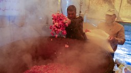 کارگاه‌های نوین تهیه عرقیجات گیاهان دارویی به‌زودی راه‌اندازی می‌شود/اشتغالزایی برای بیش از ۷۰۰ نفر طی یک ماه برداشت گل محمدی +تصاویر