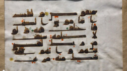 نگاهی به قرآن دست‌خط امیرالمؤمنین(ع) در موزه حرم حضرت معصومه(س)
