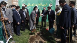 کاشت درخت توسط تولیت آستان قم در روز درختکاری