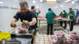 بسته بندی و توزیع ۲ هزار ۵۰۰ بسته گوشت گرم در میان نیازمندان قم + تصاویر