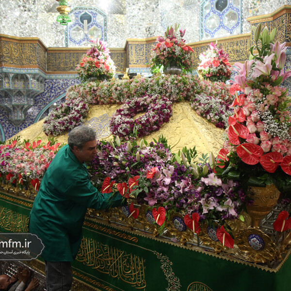 گل‌آرایی ضریح مطهر حرم حضرت معصومه (س) به مناسبت میلاد امام رضا(ع)