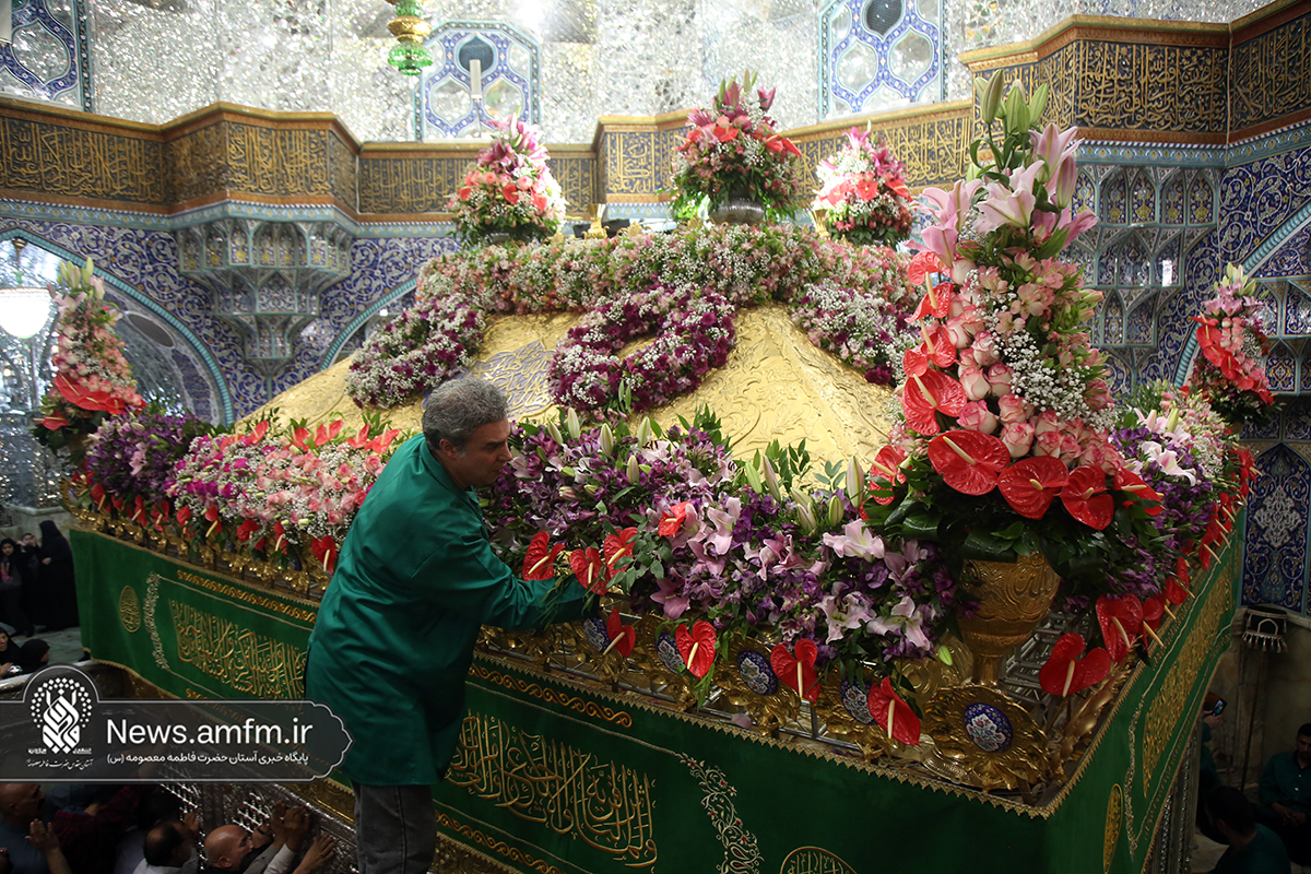 گل‌آرایی ضریح مطهر حرم حضرت معصومه (س) به مناسبت میلاد امام رضا(ع)