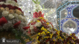 ضریح حرم حضرت معصومه(س) به مناسبت میلاد امام رضا(ع) گل‌آرایی شد