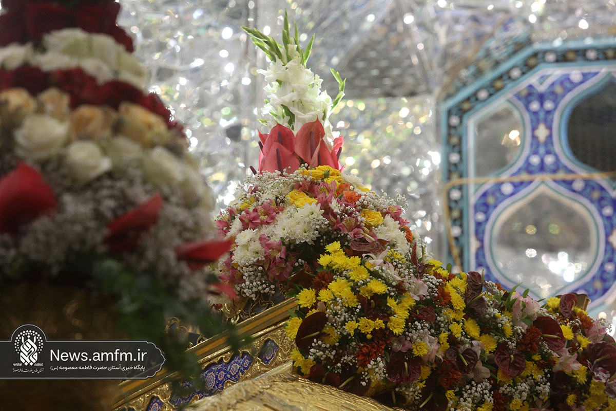 ضریح حرم حضرت معصومه(س) به مناسبت میلاد امام رضا(ع) گل‌آرایی شد