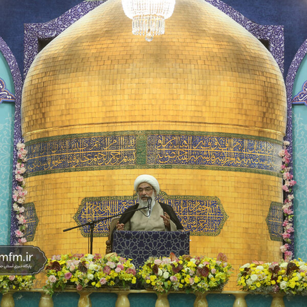  امام رضا(ع) ضامن بقای اسلام ناب بودند