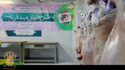 مشارکت بیش از ۵ هزار نفر در پویش «نذر قربانی» حرم مطهر تا ظهر روز عرفه