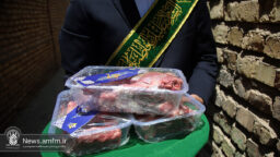 همه می‌توانند در ثواب قربانی حرم حضرت معصومه (س) سهیم شوند