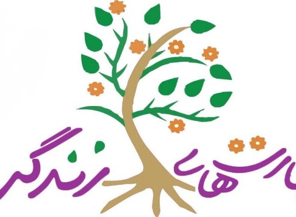 آموزش «مهارت‌های زندگی» به دختران کودک و نوجوان در حرم بانوی کرامت