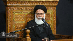 زیارت امام رضا (ع) محور اقامه تشیع است