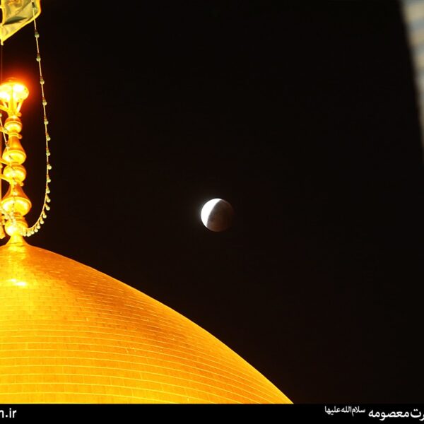 دل‌هایی که در غیاب نور ماه با نور ولایت بیدار می‌شود