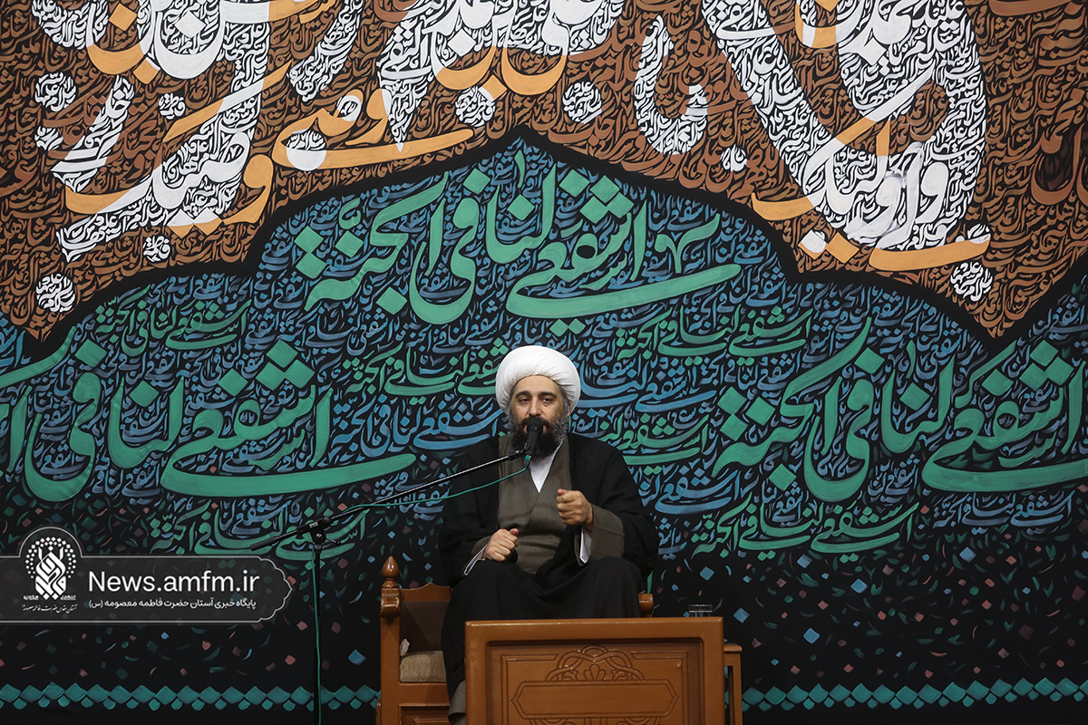 حضرت معصومه(س) علمدار ولایت امام رضا(ع) بودند