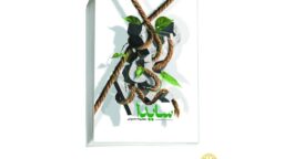 رمان «سایدا» منتشر شد