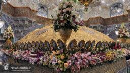 ضریح مطهر حرم حضرت معصومه (س) در آستانه نیمه شعبان غرق گل شد