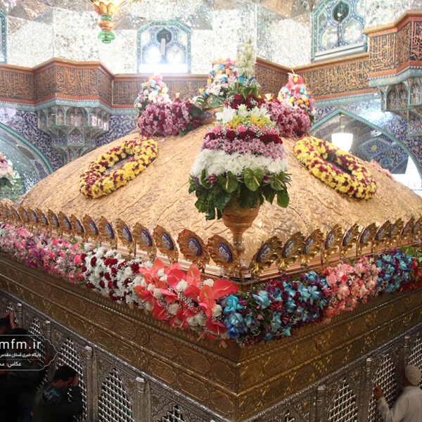 ضریح مطهر اخت‌الرضا(س) در آستانه میلاد برادر گل‌آرایی شد