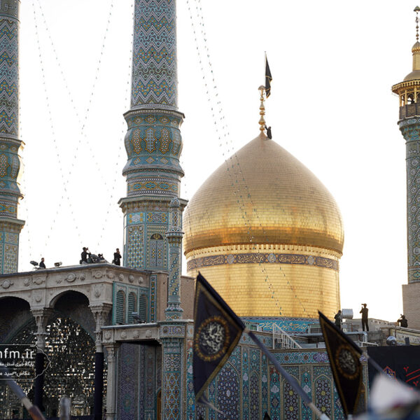 فقط تا ۱۴ مهرماه؛ فرصت شرکت در پویش «پناه ایران» را از دست ندهید