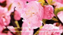 حضرت ولی عصر (عج) | حجت الاسلام والمسلمین عالی