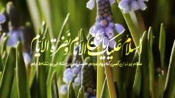 سلام به امام زمان (عج) | حجت الاسلام و المسلمین عالی
